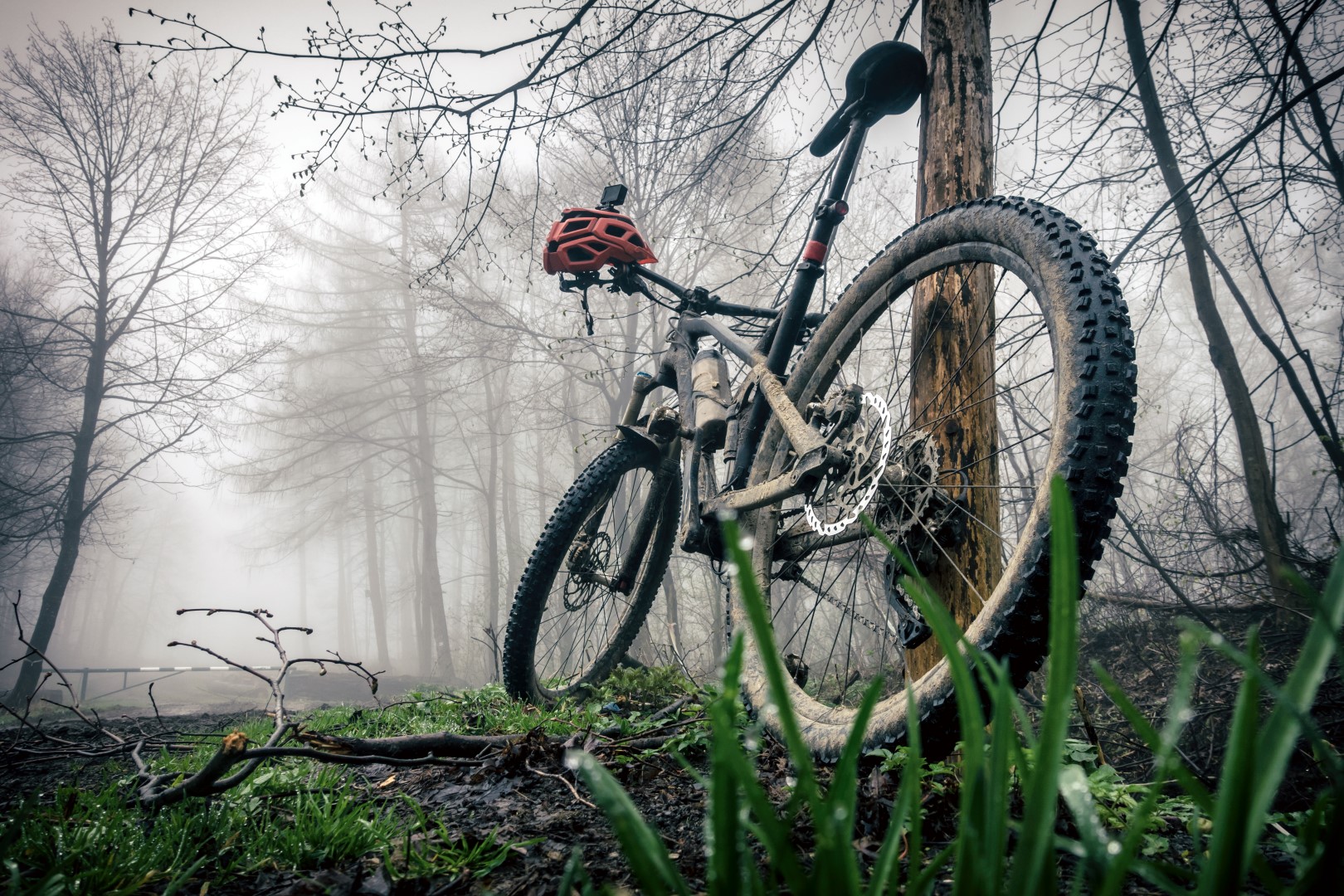 Mountainbike Trail Master