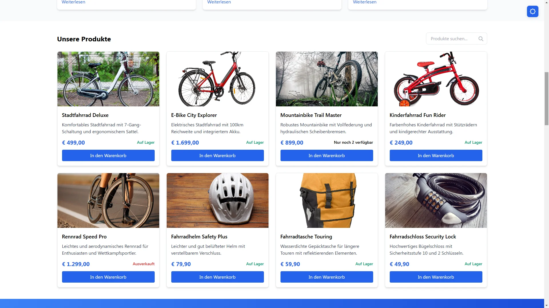 Online Shop Darstellung